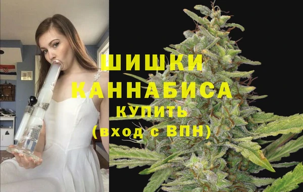 дживик Новокубанск